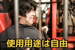 使用用途は自由